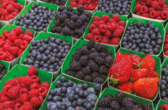fruits