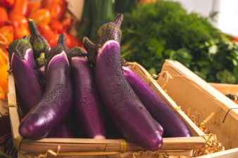 aubergine